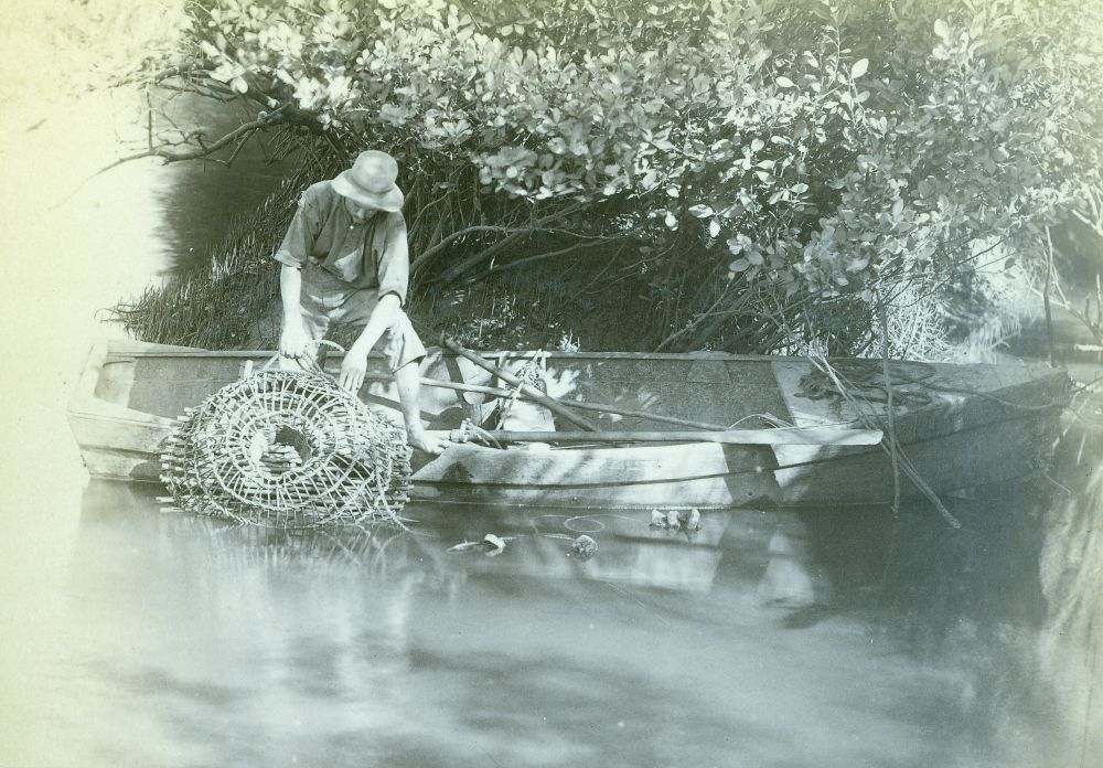 Crab-getting in Burpengary Creek, ca. 1895