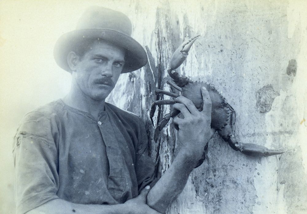 Gustav Dux, Crabber at Burpengary, ca. 1895