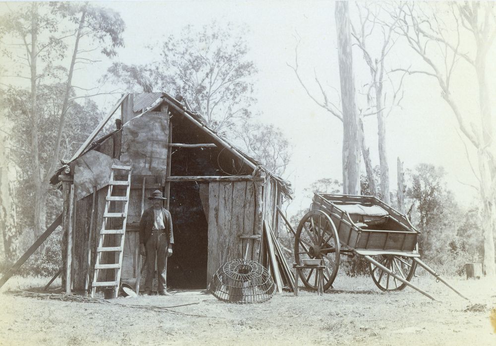 Gustav Dux, Crabber at Burpengary