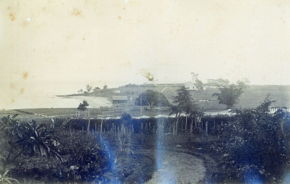 Road leading to the foreshore from the Surgeon's residence
