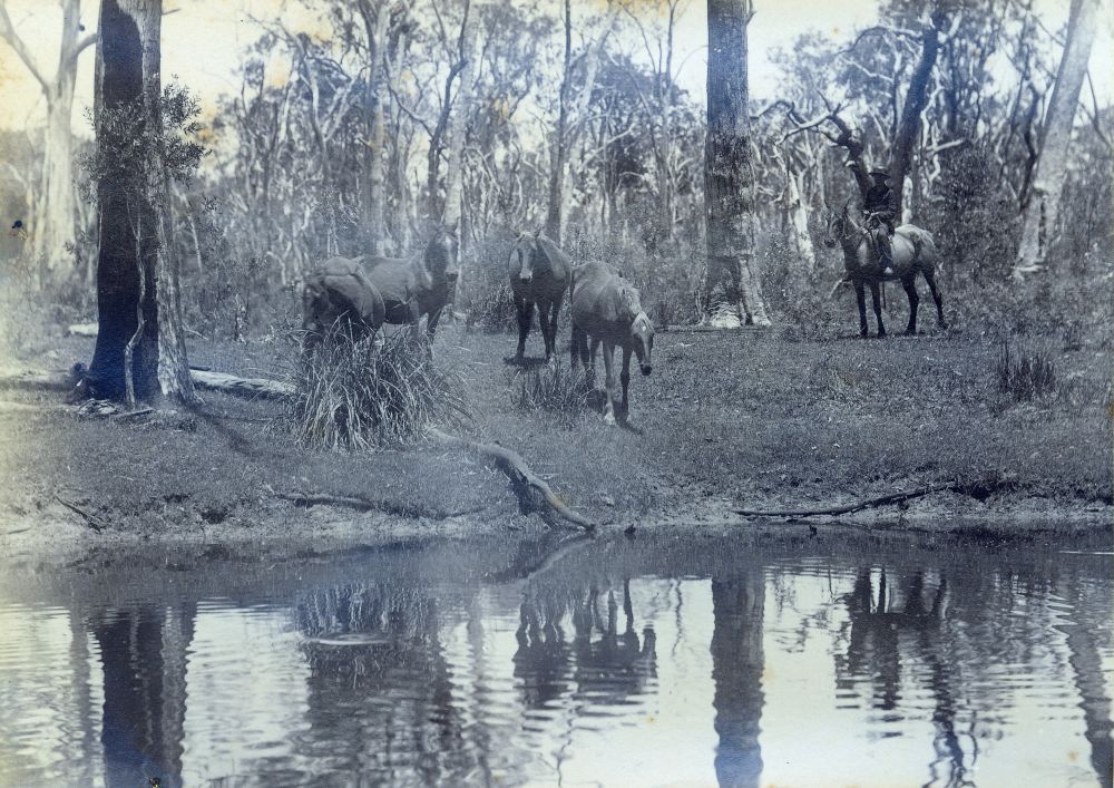 Louis Oldfield Bancroft on a horse near a creek, ca. 1895