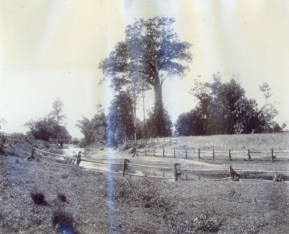 Enoggera Creek at Kelvin Grove, ca. 1900