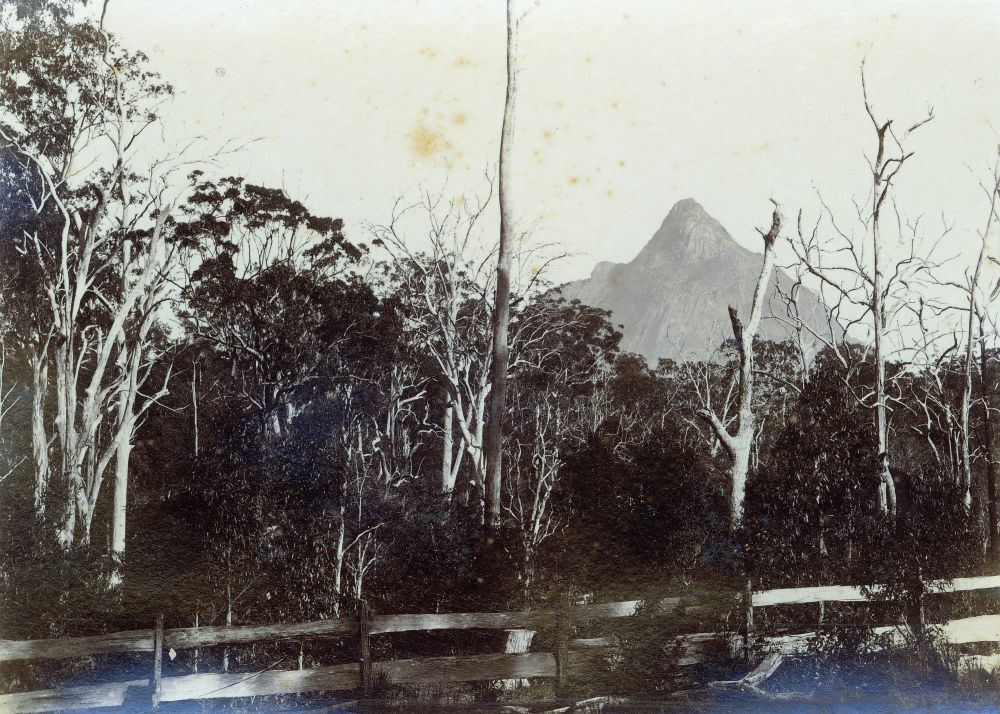 Mt Beerwah