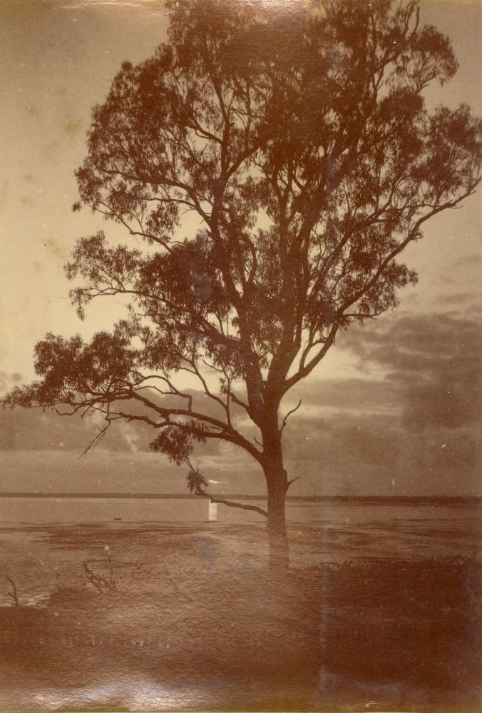 Sunrise at Burpengary, January 1885