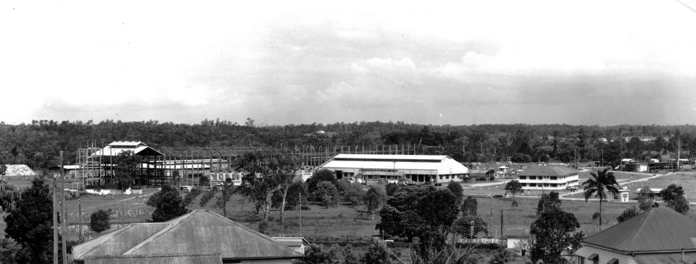 View from Petrie, January 1955