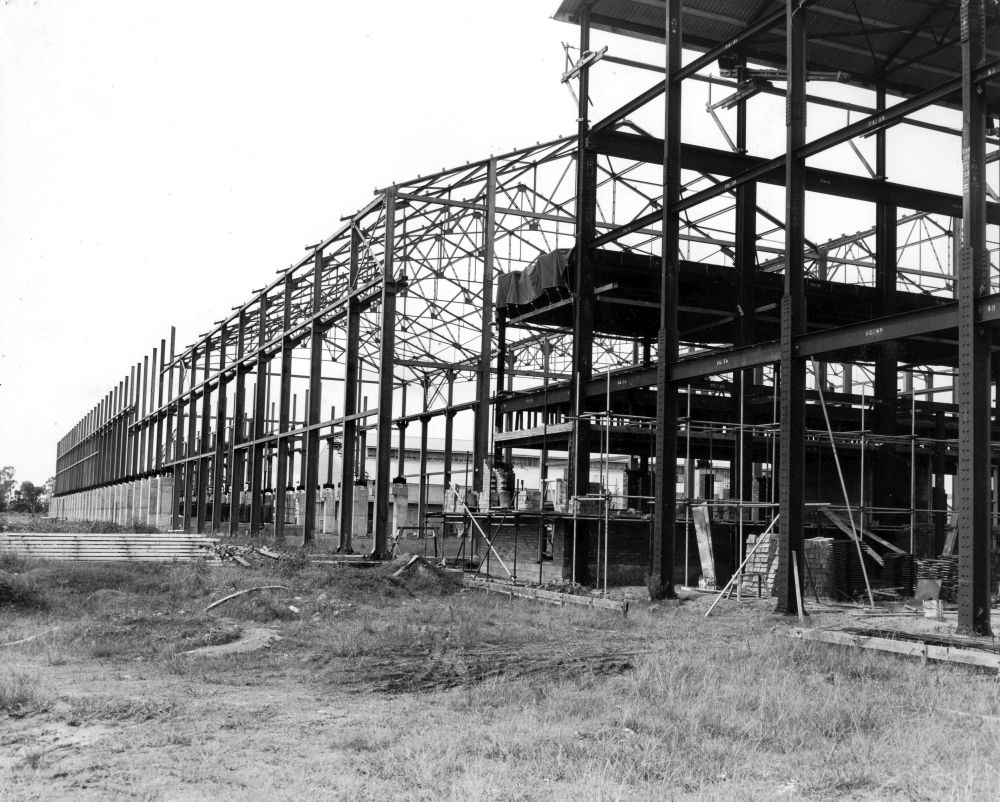 Framework for the main building at the APM Petrie Mill, ca. 1953