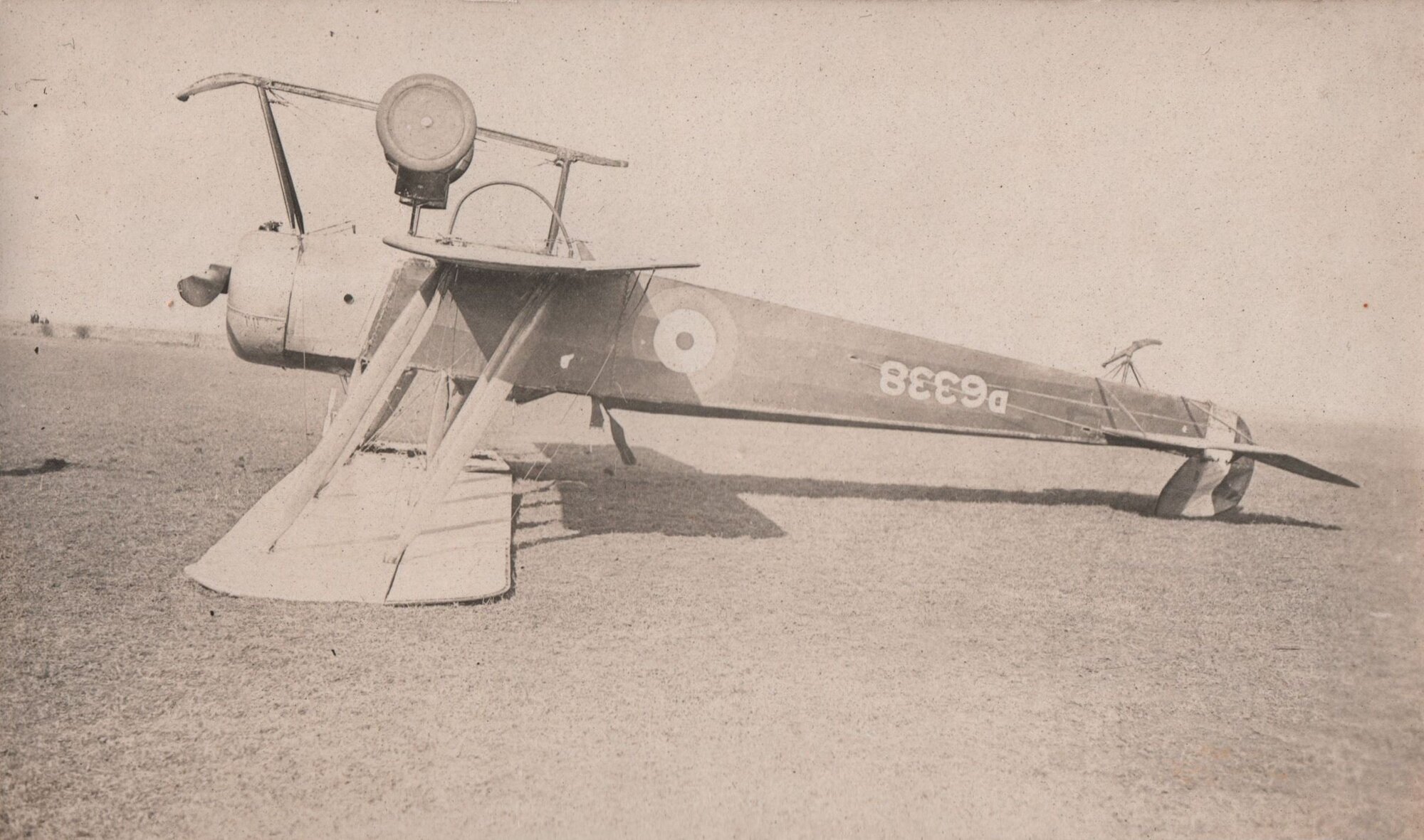 Mackenzie's landing on a windy day