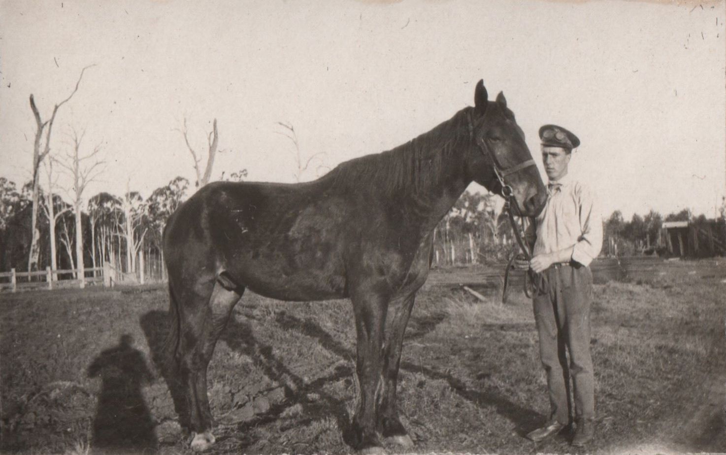 Wallace and his pet horse