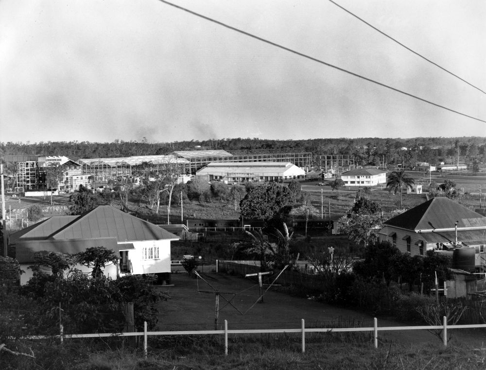 View from Petrie, 1956
