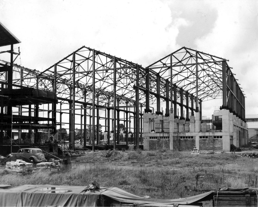 Building framework at the APM Petrie Mill, ca. 1952
