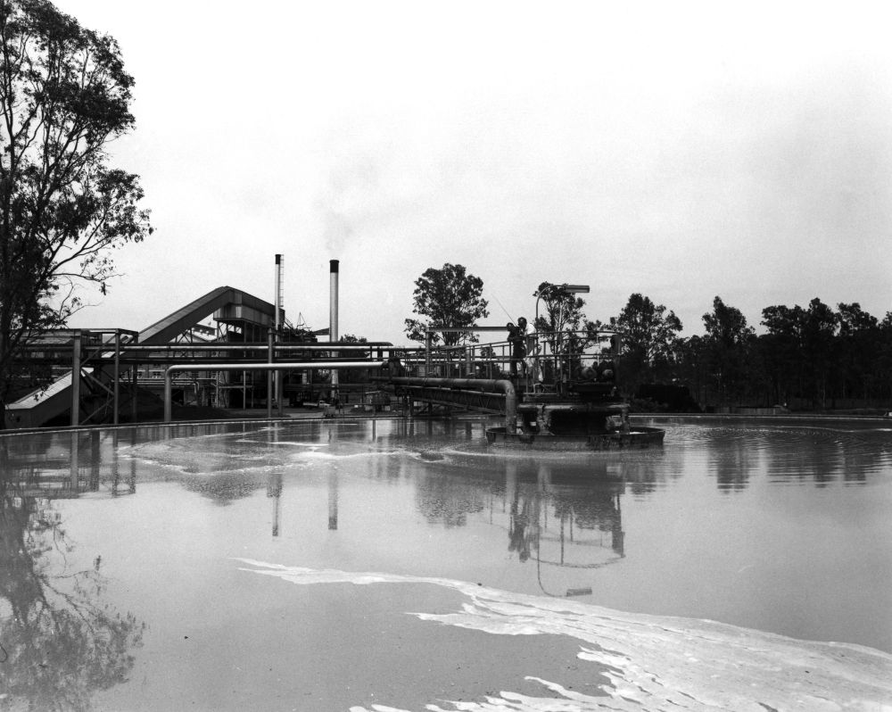 The first clarifier used to treat the effluent from the Petrie Mill