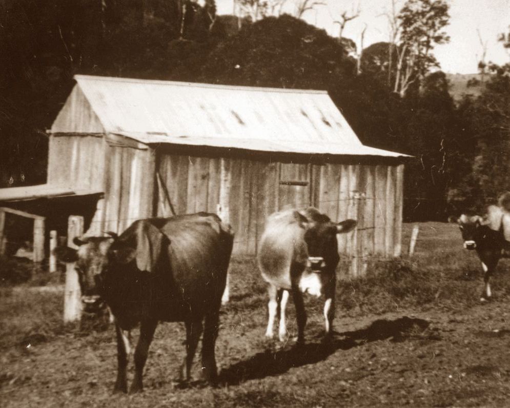 Slab barn located on Richard French's farm at Mt Pleasant