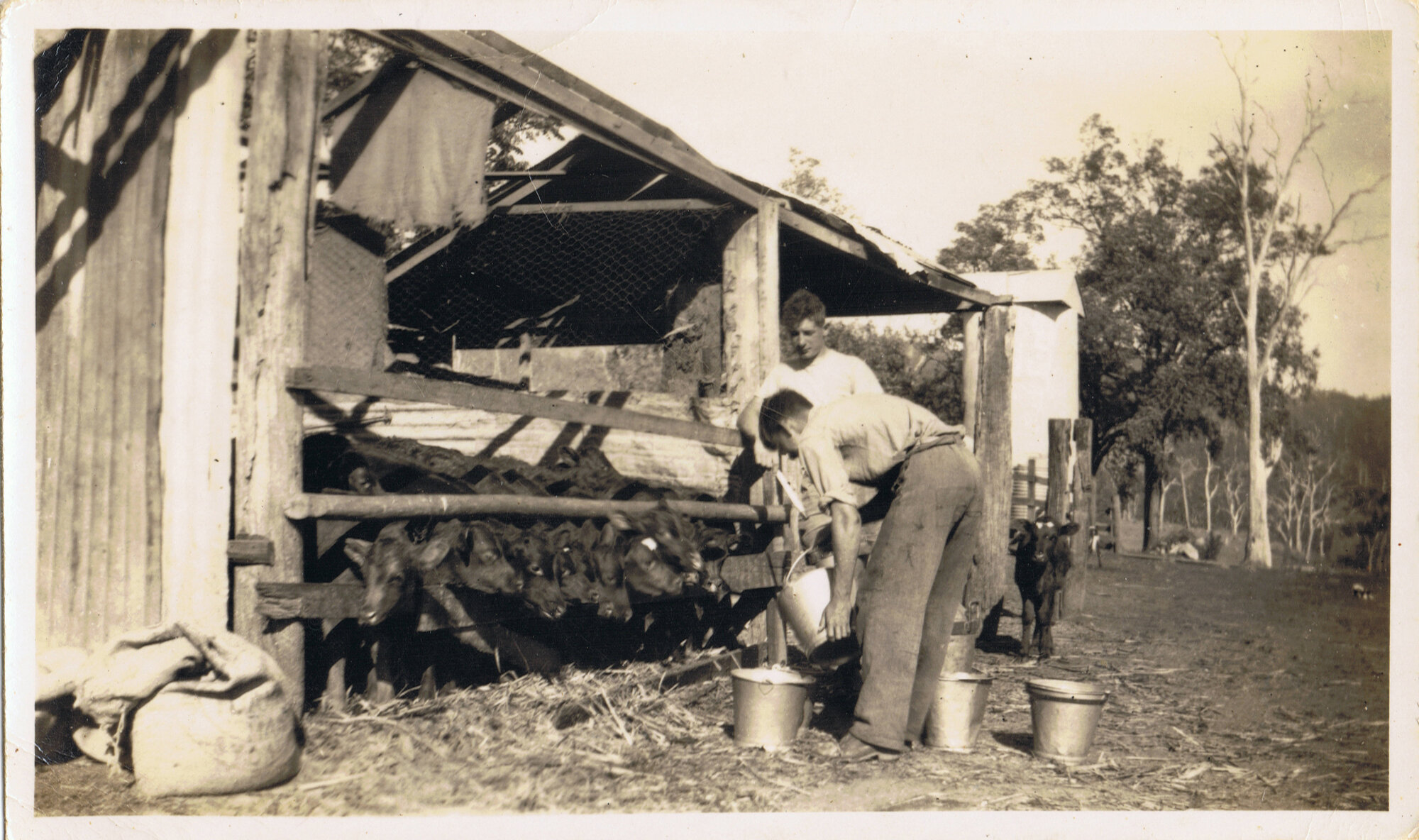 Charles James on the farm