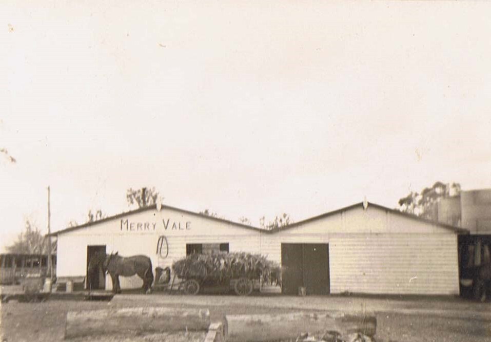 Merryvale Dairy Shed