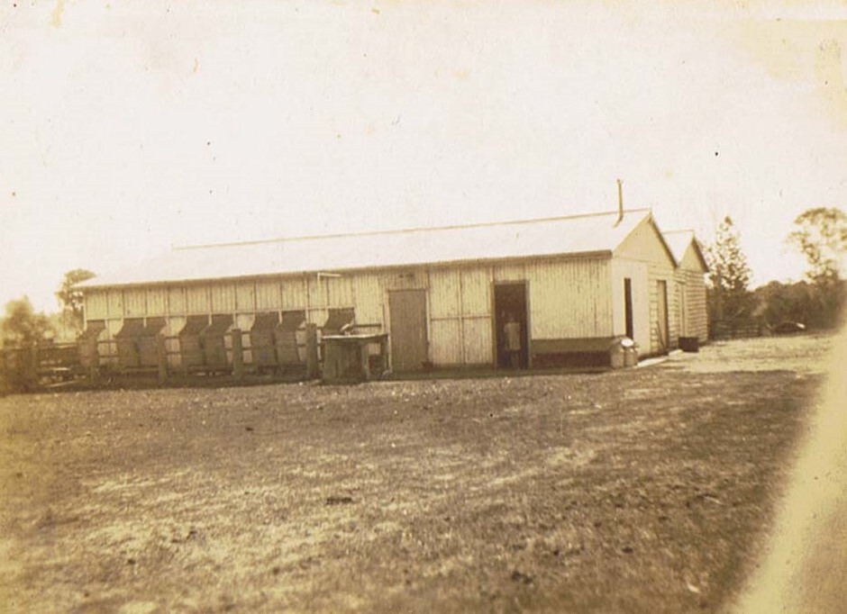 Merryvale Dairy Shed