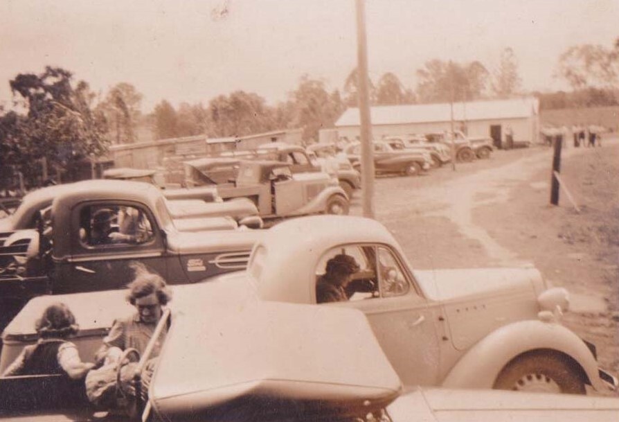 Merryvale Jersey Stud