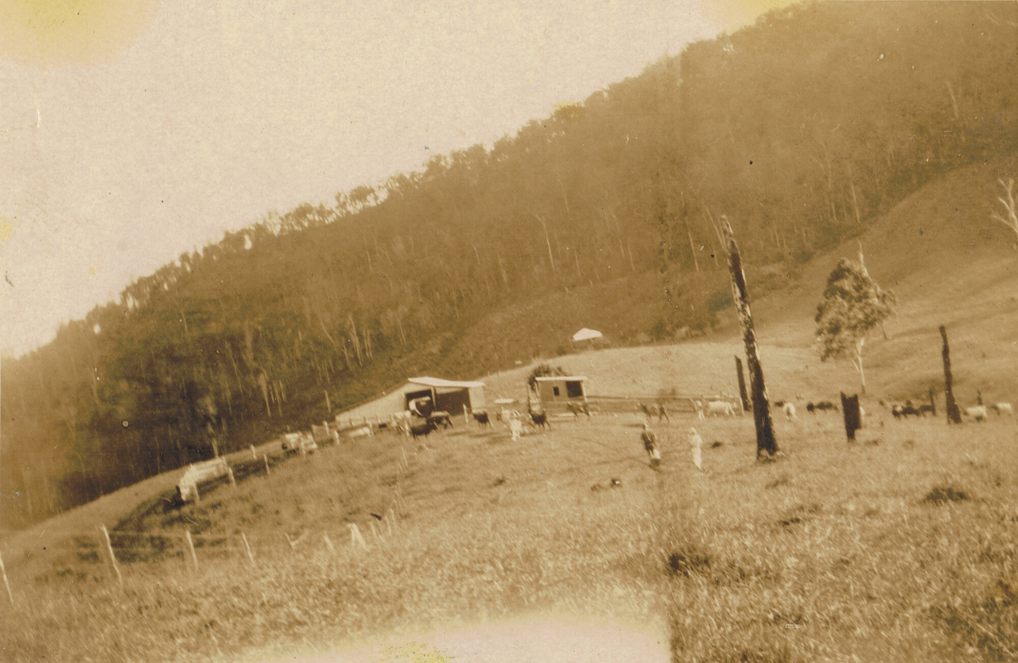 Herbert and Elizabeth's farm