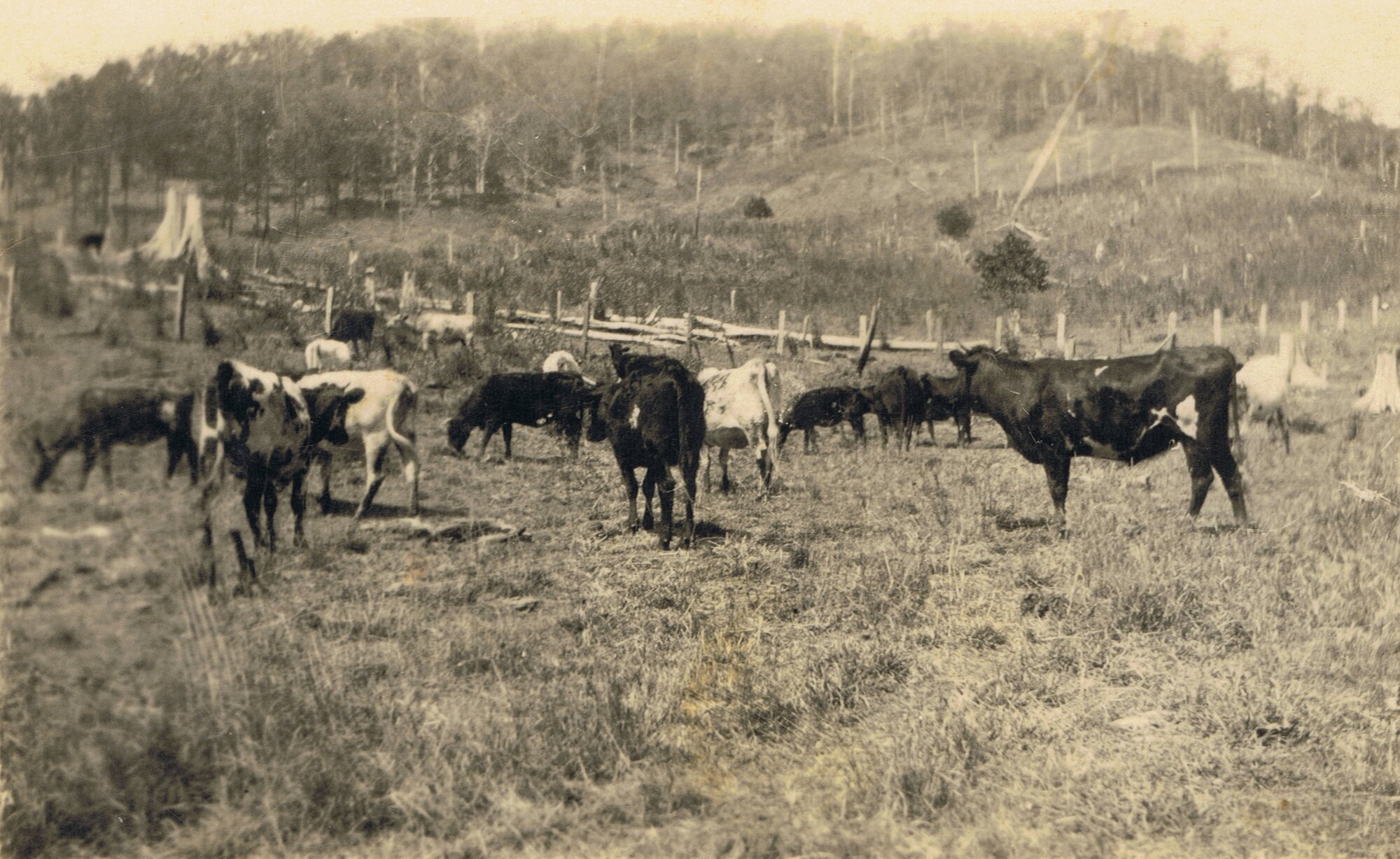 Herbert and Elizabeth James Farm
