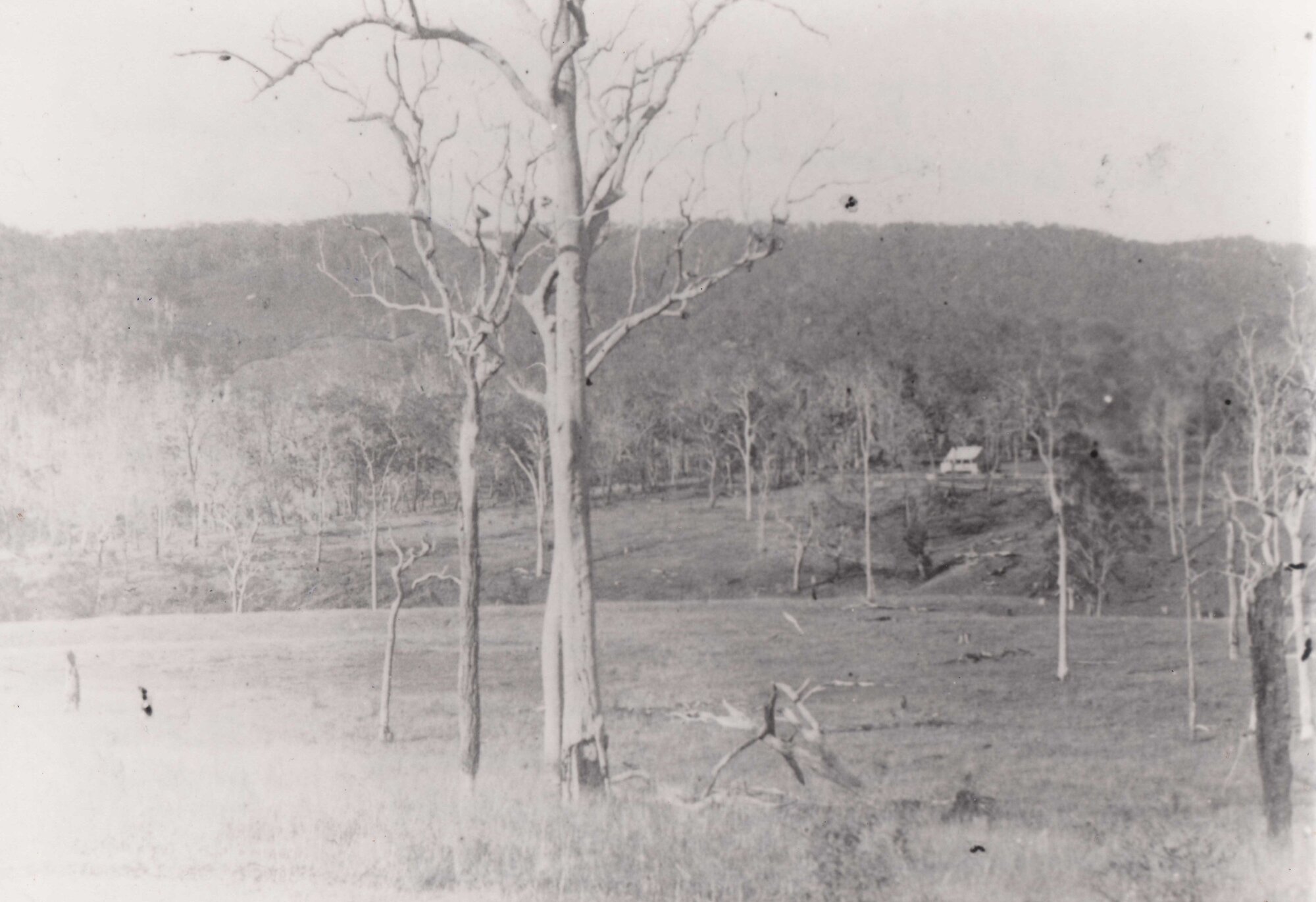 Rocksberg Provisional School