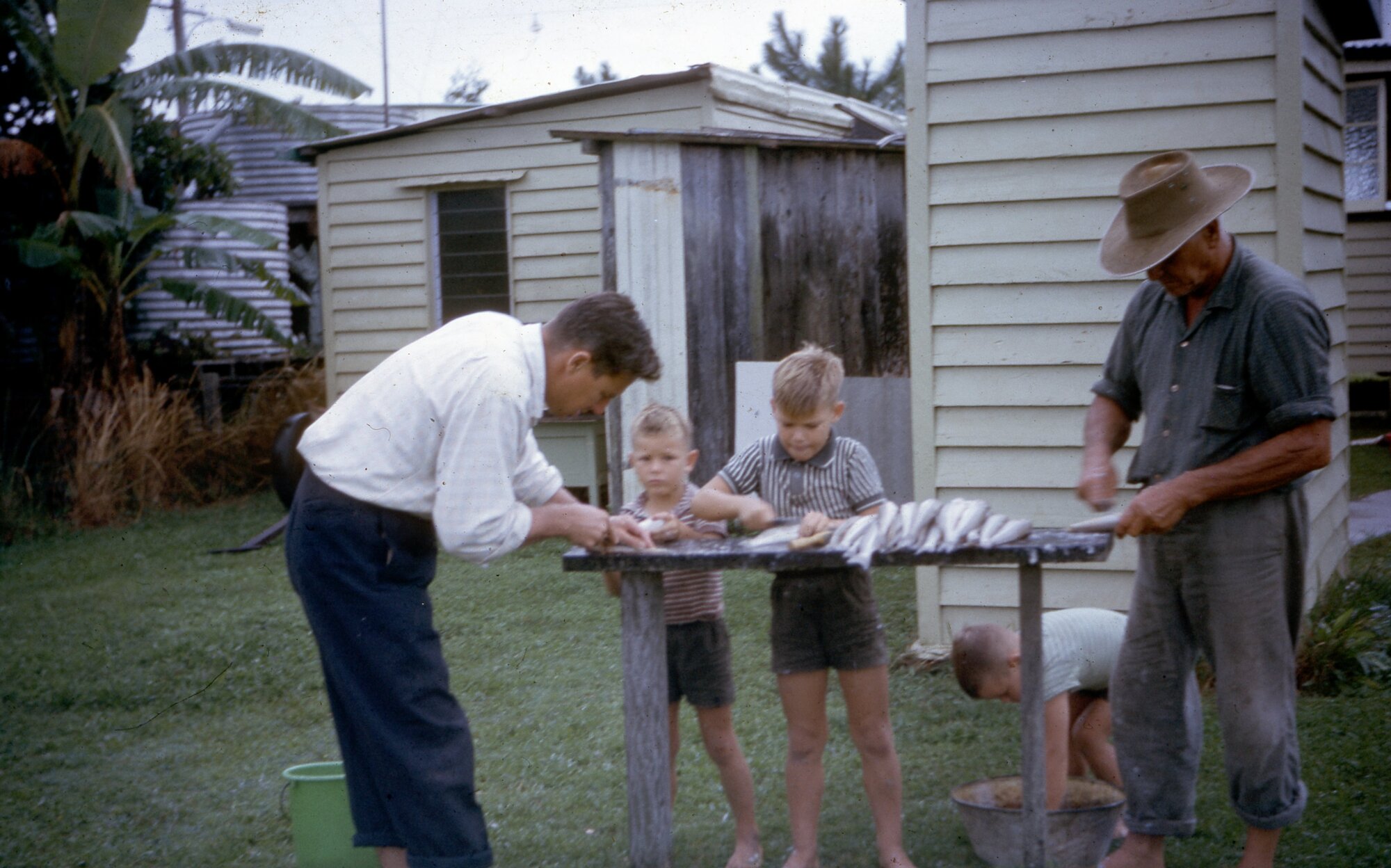 Toorbul - 1964 - filleting fish