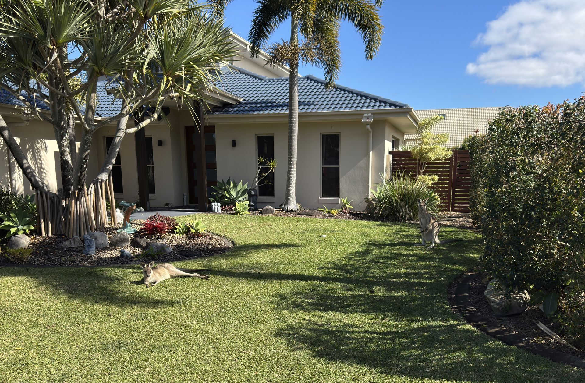 Skippies on Bribie Island