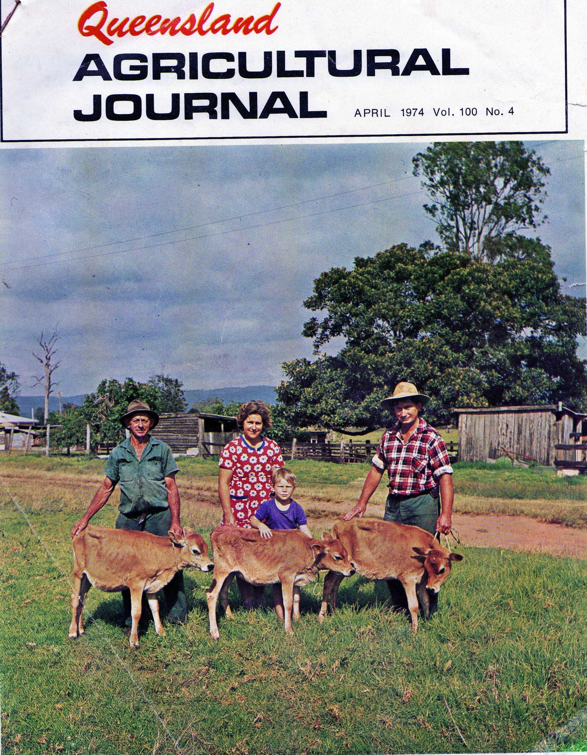 Merryvale Jersey Stud