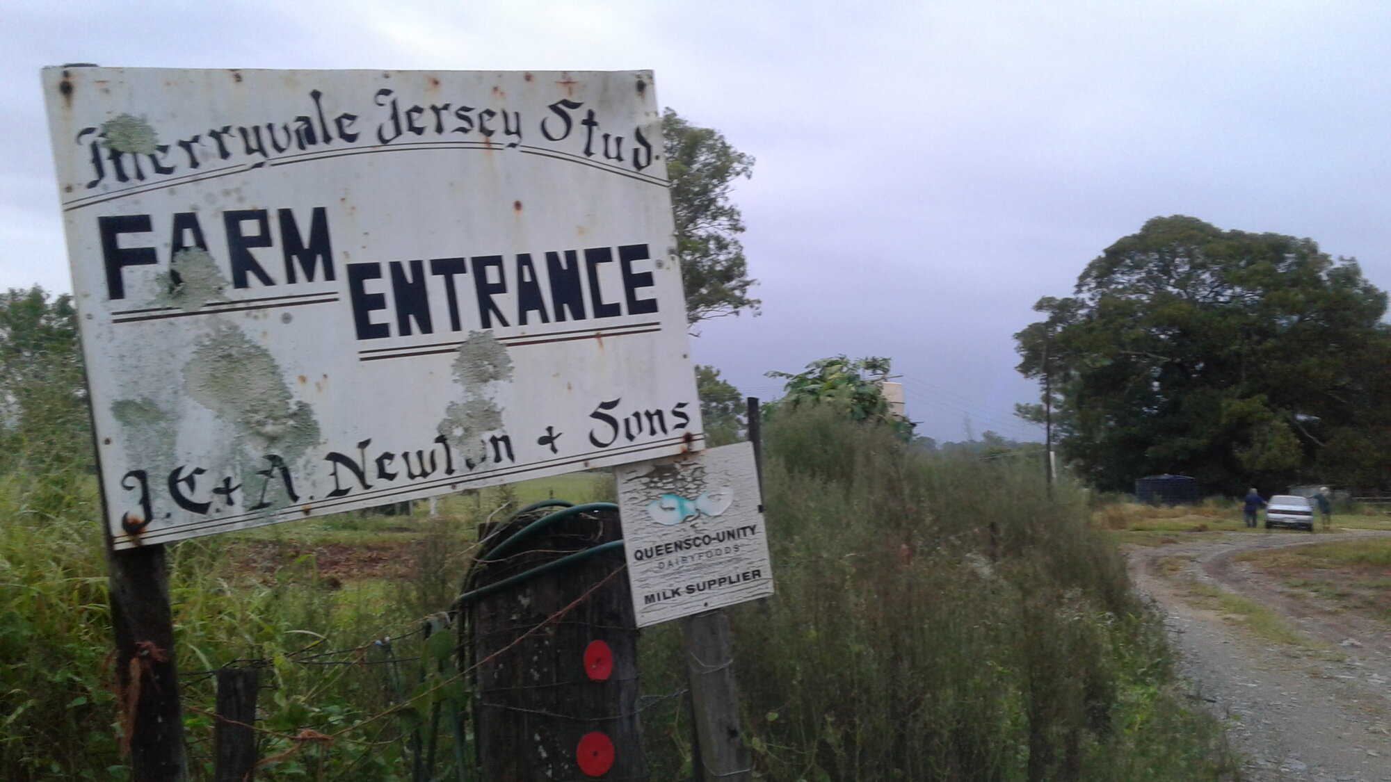 Merryvale Jersey Stud sign