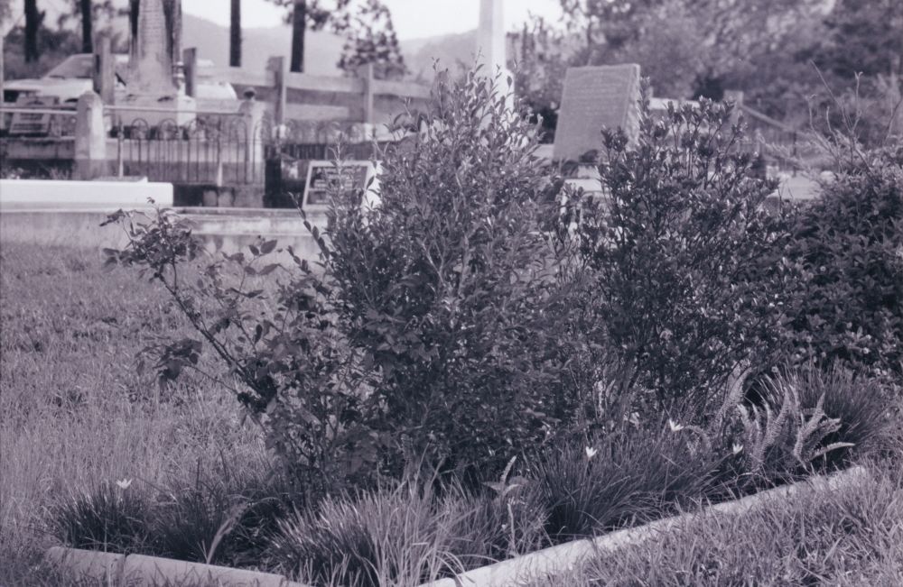 Samsonvale Cemetery, August 1988