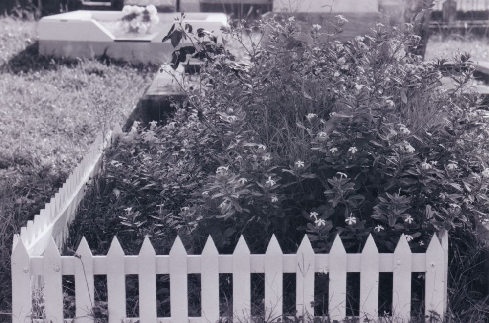 Samsonvale Cemetery, August 1988