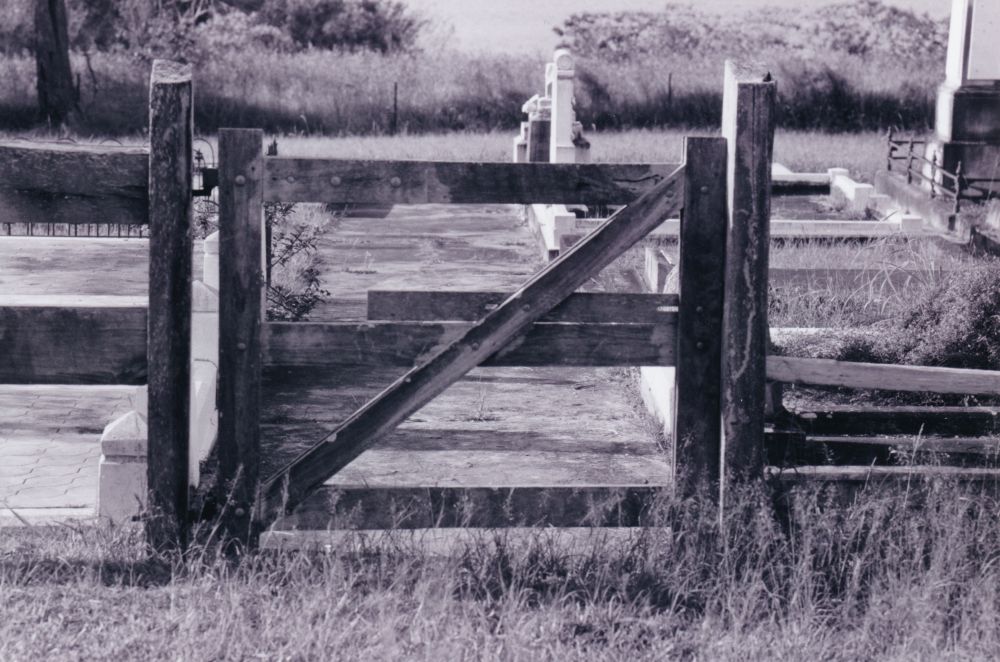 Samsonvale Cemetery, August 1988