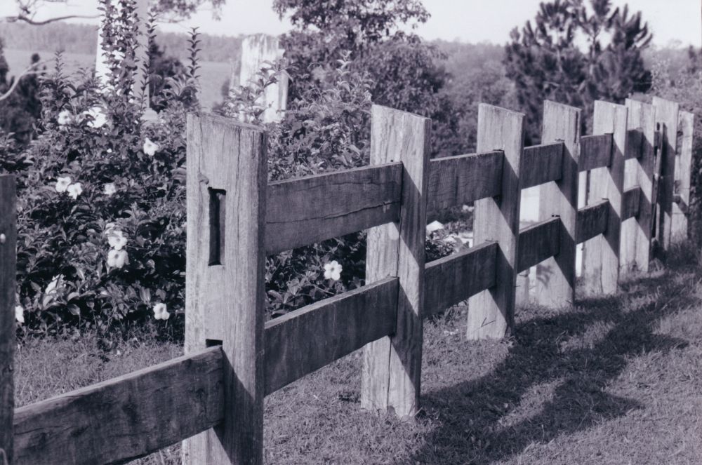 Samsonvale Cemetery, August 1988