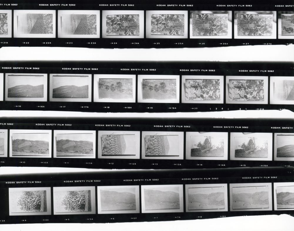 Proof Sheets from Tom Richards family photographs - Proof Sheet 2