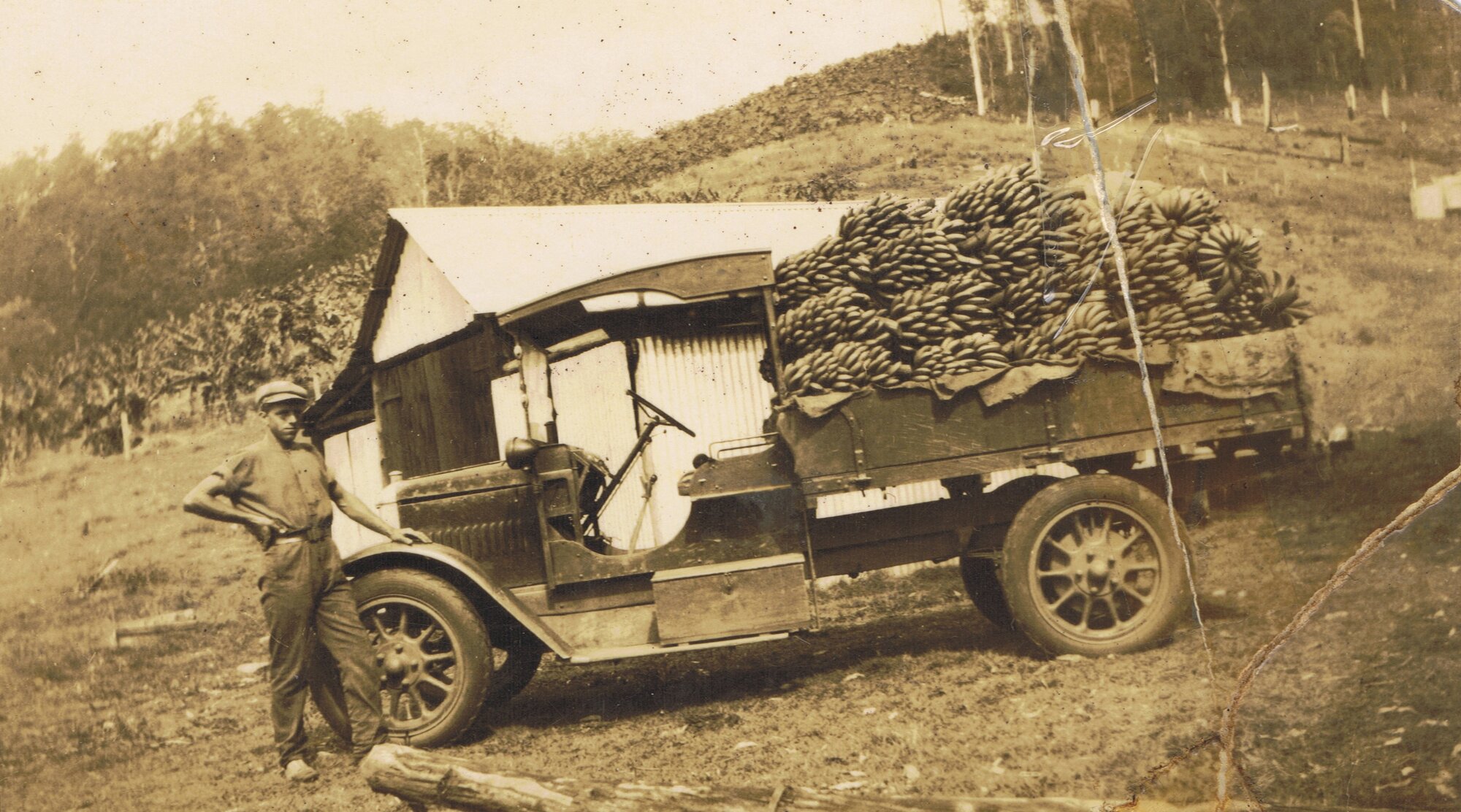 James' farm at Moorina