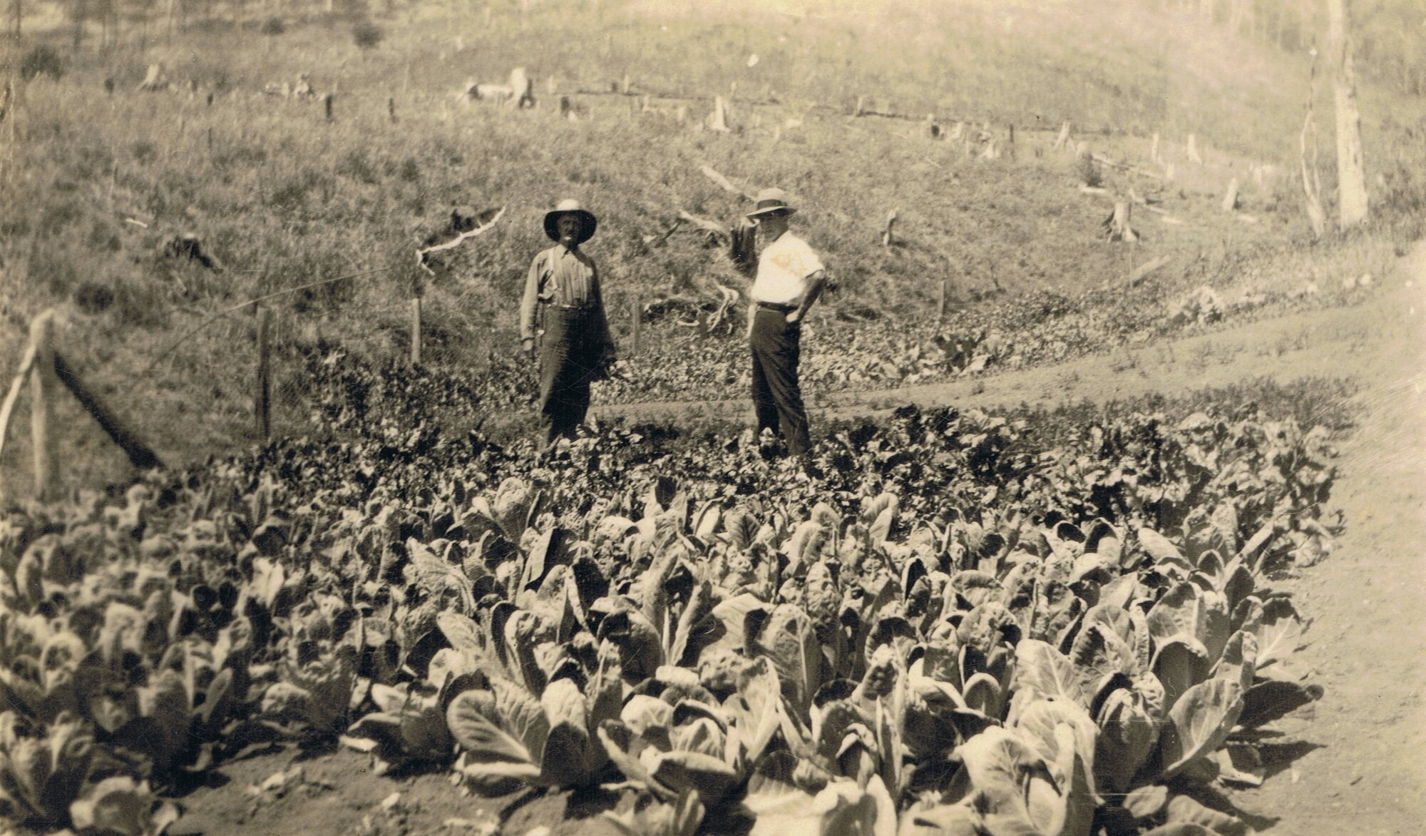 James' farm at Moorina