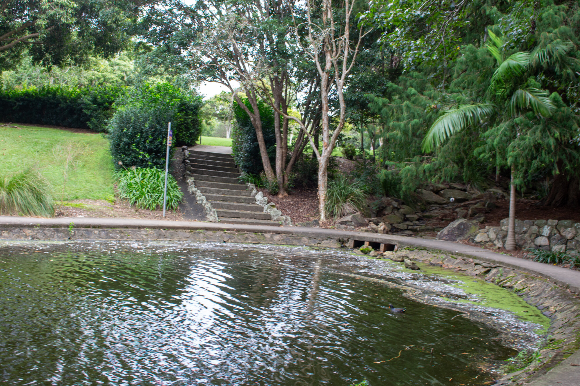 Centenary Lakes Area (Stage two area) - 2-14 Elliott Street Caboolture - stairs to a lagoon area