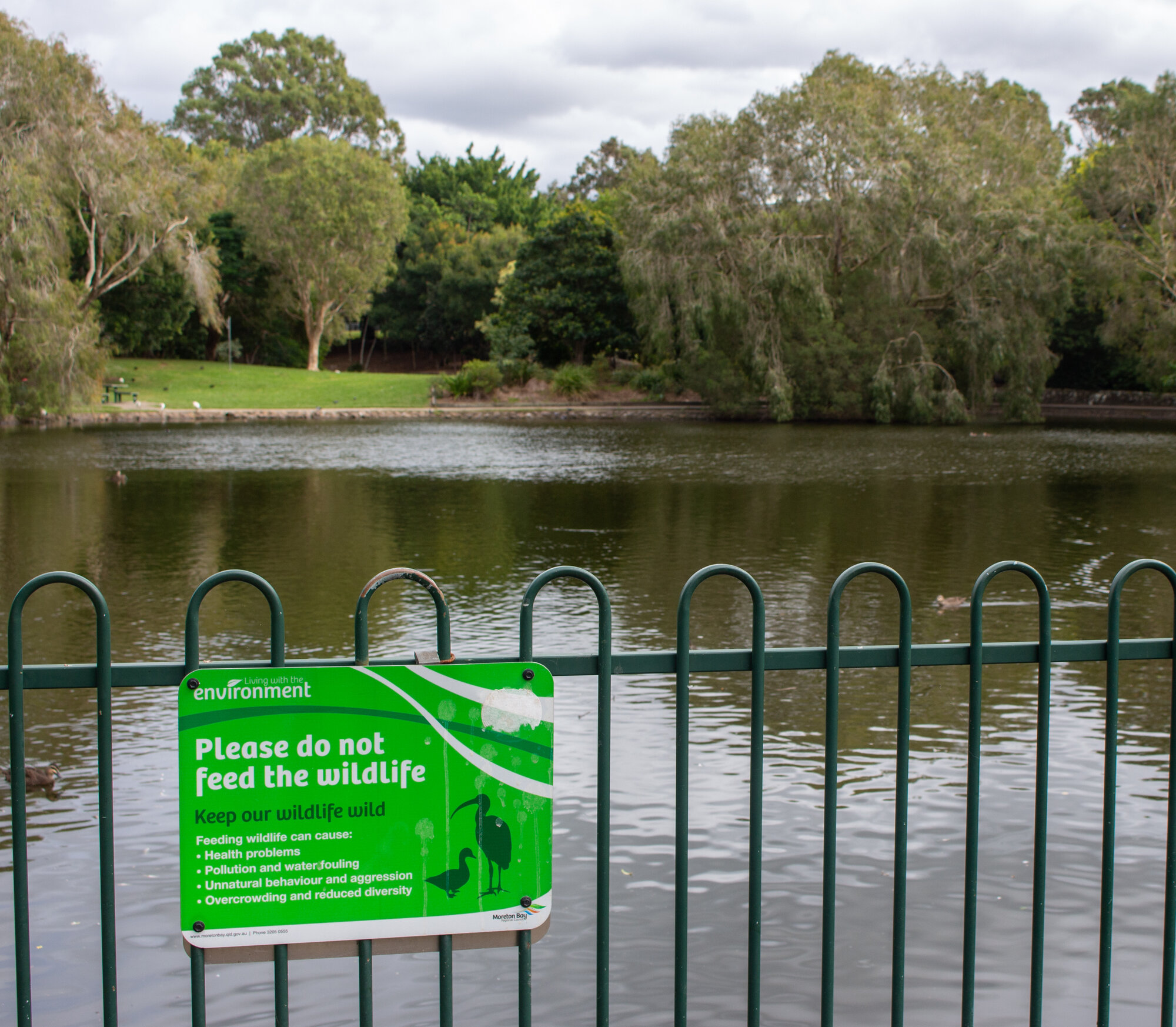 Centenary Lakes area looking west from footpath - 2-14 Elliott Street Caboolture 
