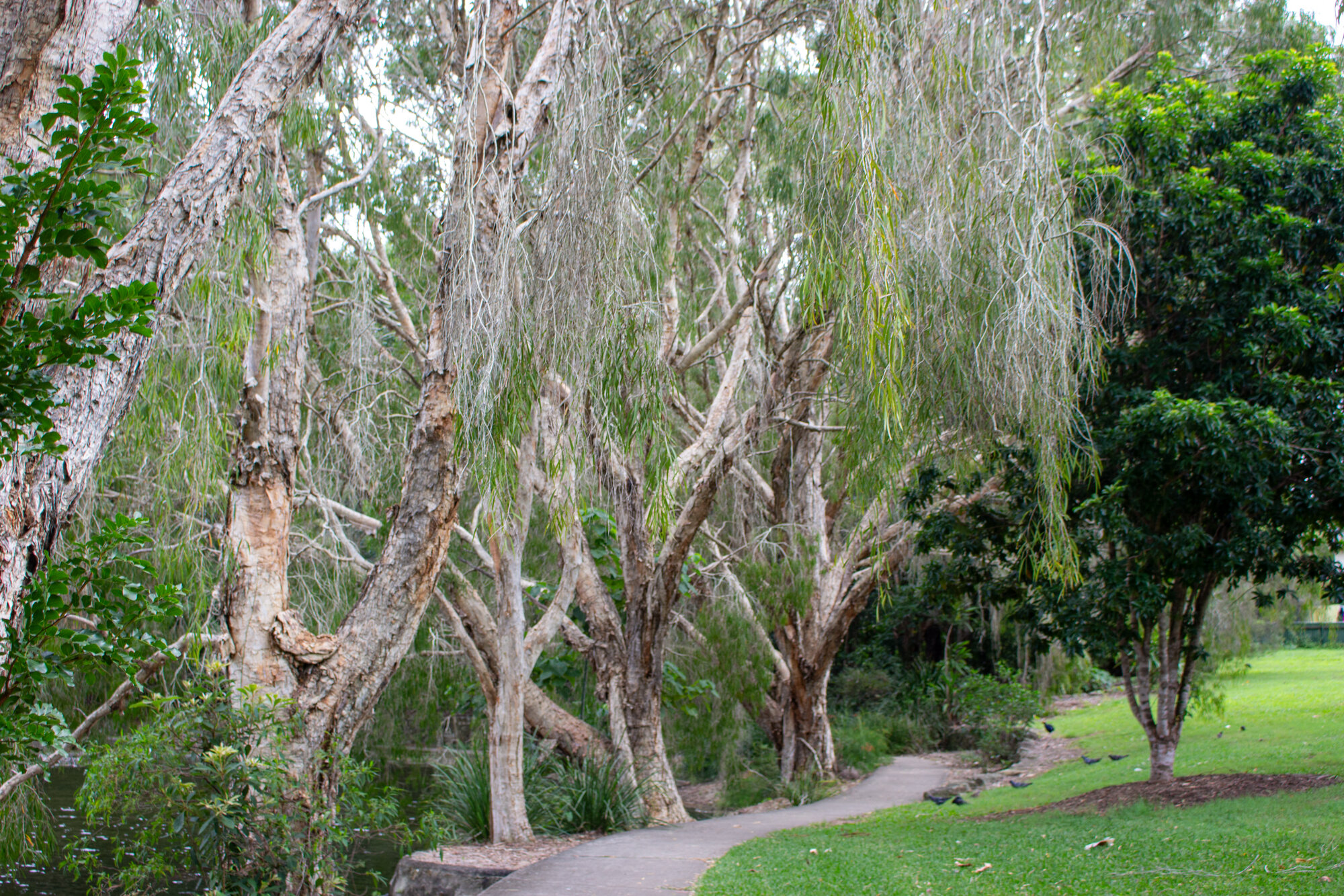 Centenary Lakes Area (Stage two area) - 2-14 Elliott Street Caboolture