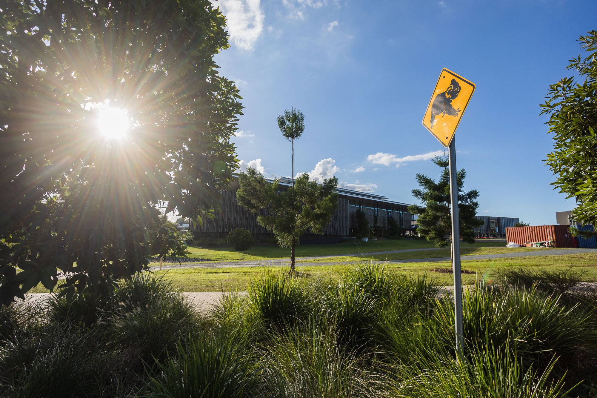 University of Sunshine Coast (UniSC) (Moreton Bay Campus) buildings from road - 1 Moreton Parade Petrie