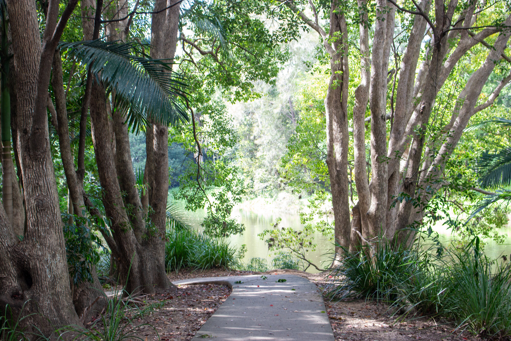 Rotary Walk footpath along the northern bank of the Caboolture River at the Caboolture Sports Complex