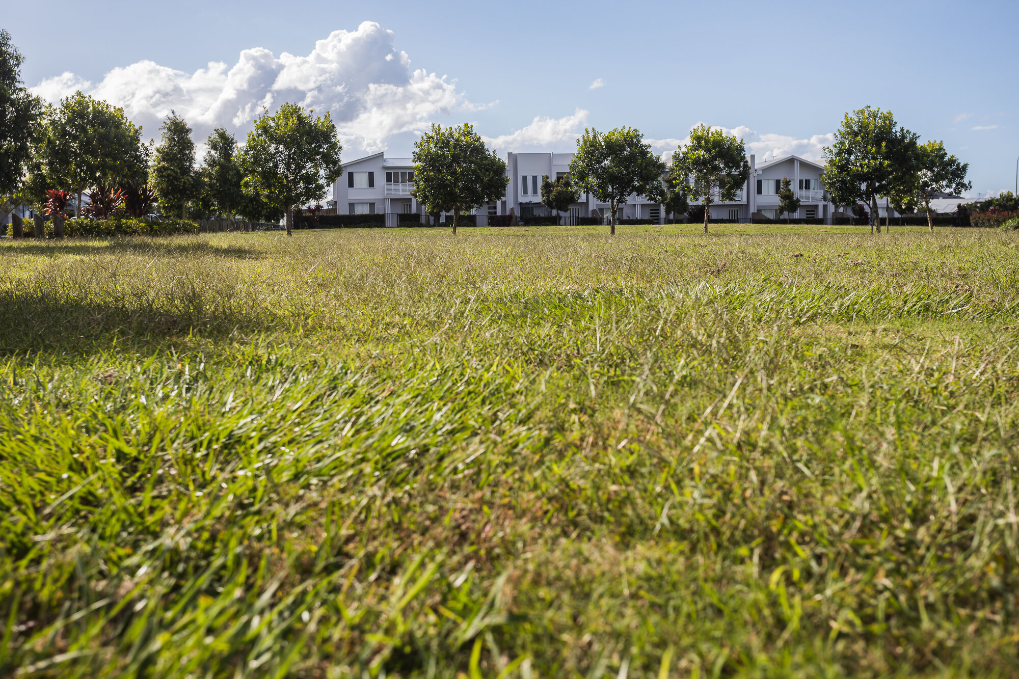 Pineapple Farm Park looking towards townhouses on Pineapple Parkway Strathpine - looking north