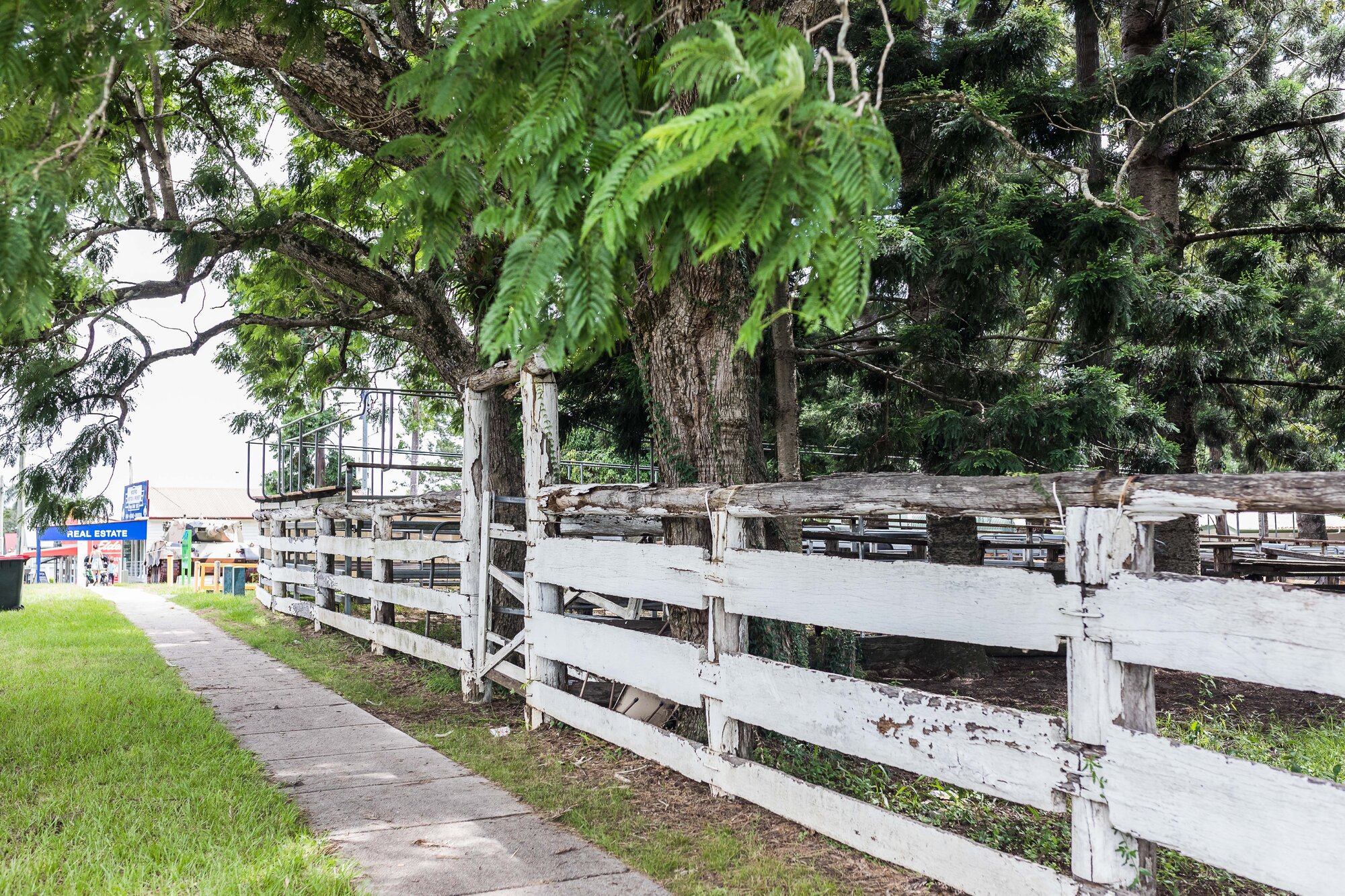 Woodford Saleyards - 129 Archer Street Woodford - front post and rail fence and gate