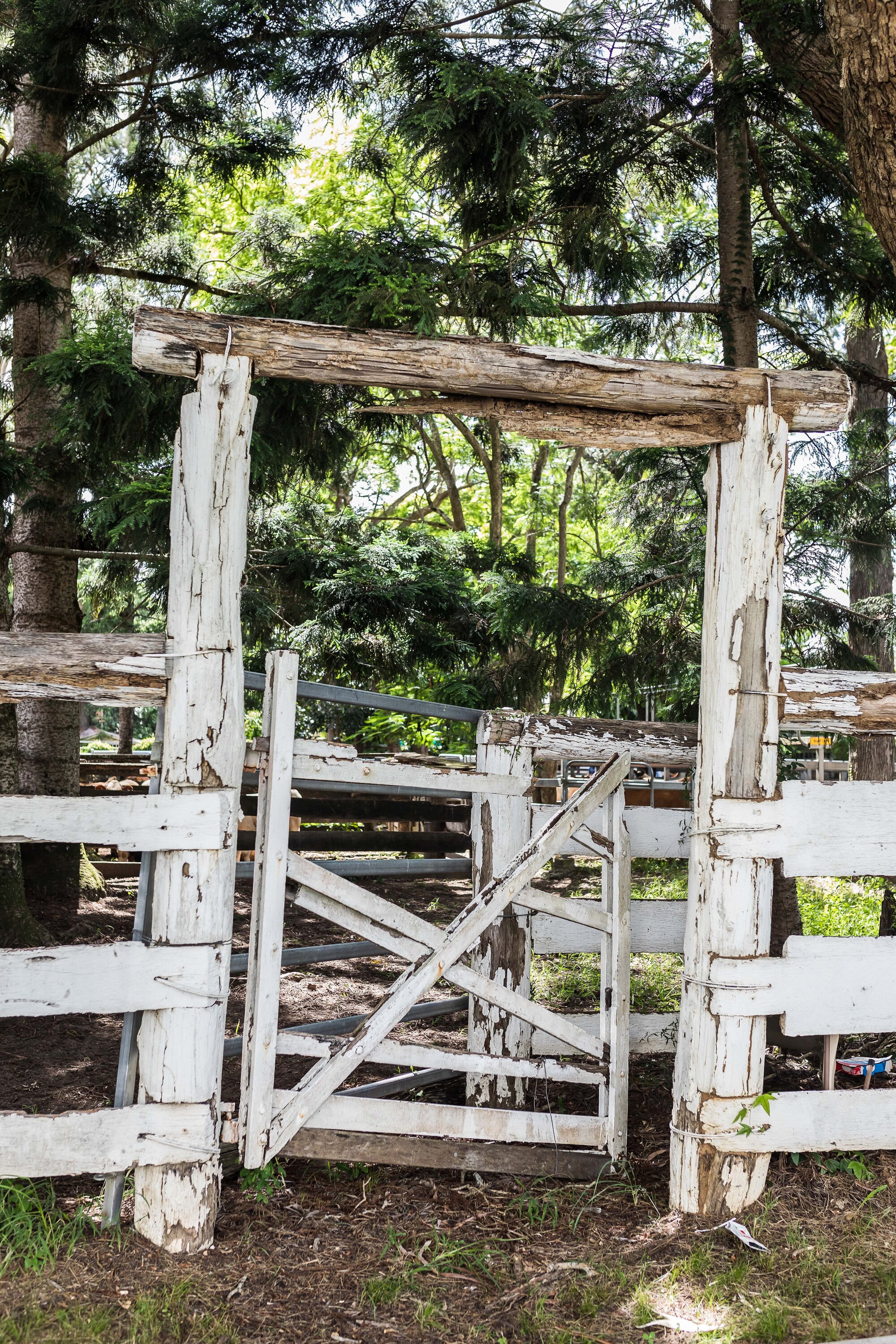 Woodford Saleyards - 129 Archer Street Woodford - front gate