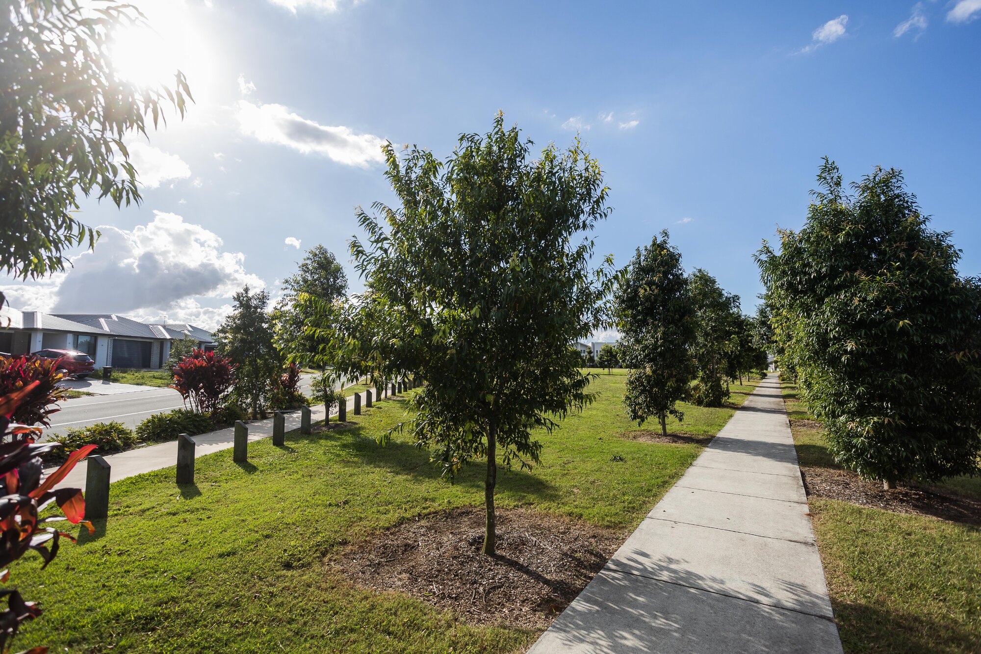 Pineapple Farm Park - corner Blatchford Street and Samsonvale Road Strathpine - footpath through park