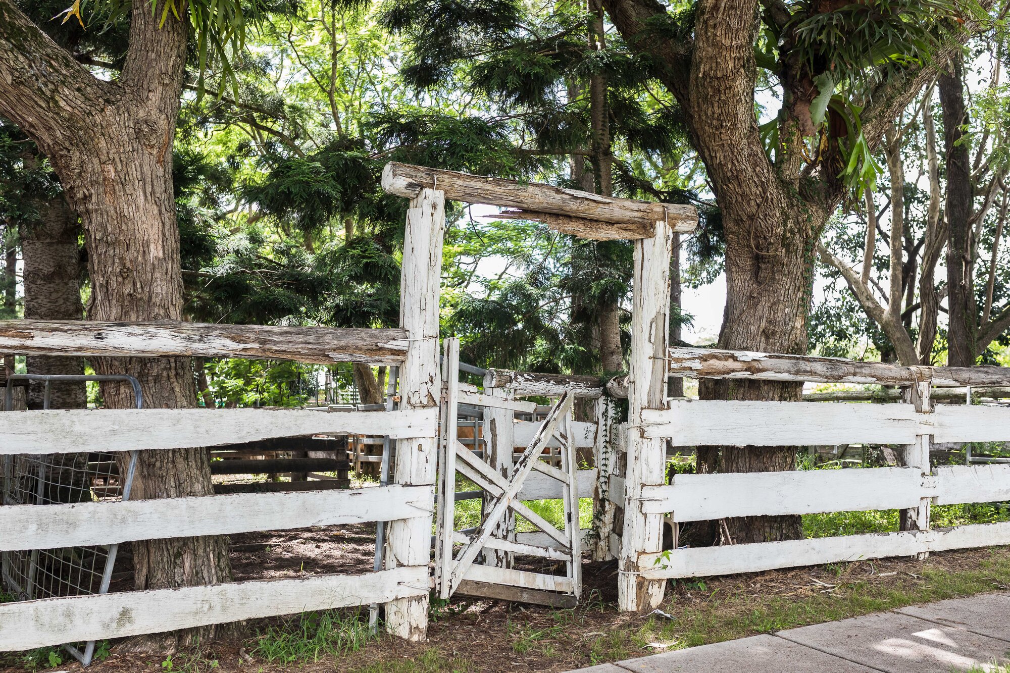 Woodford Saleyards - 129 Archer Street Woodford - front gate and post and rail fence