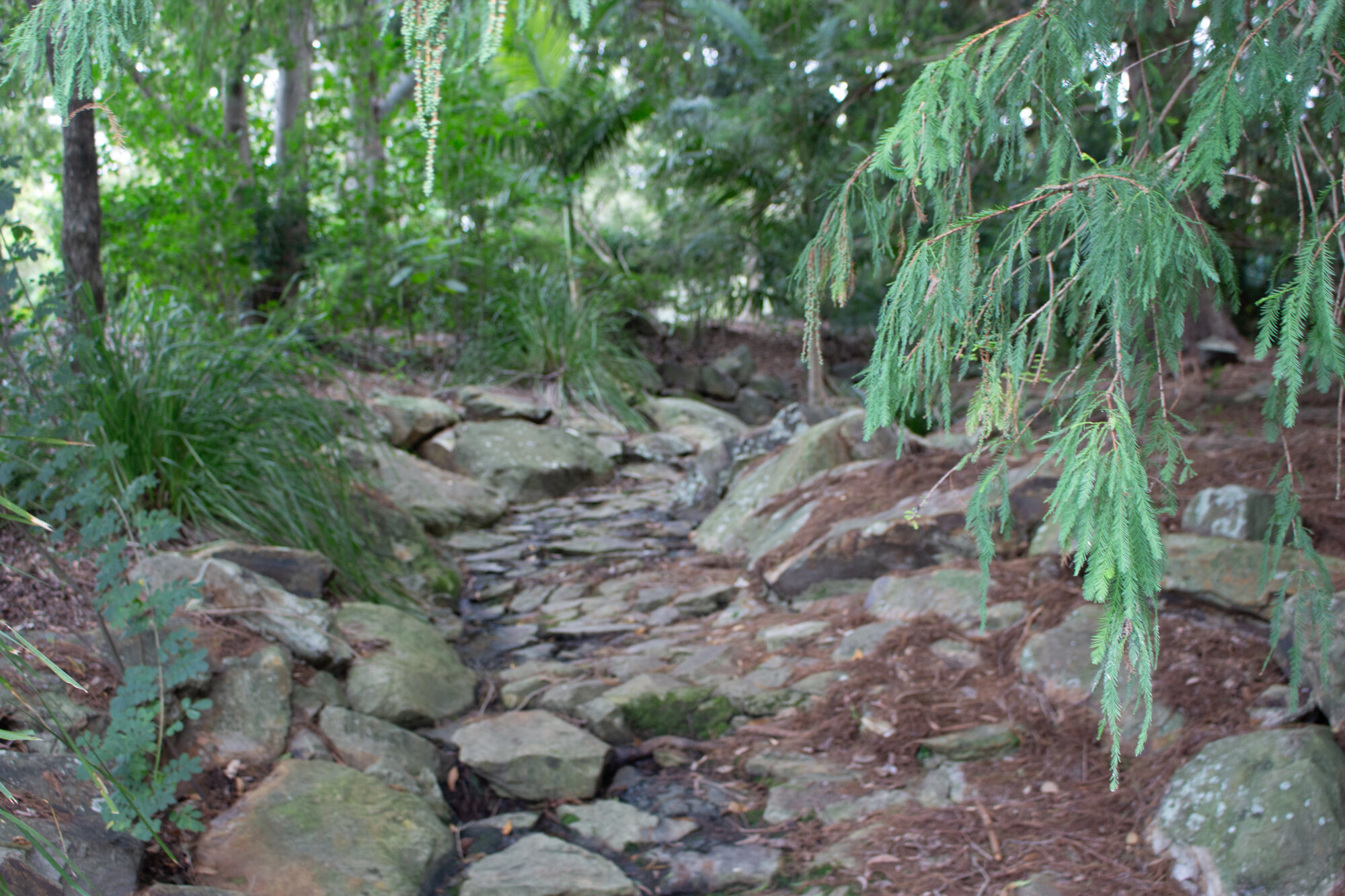 Centenary Lakes Area - 2-14 Elliott Street Caboolture - creek / stream through garden to lagoon