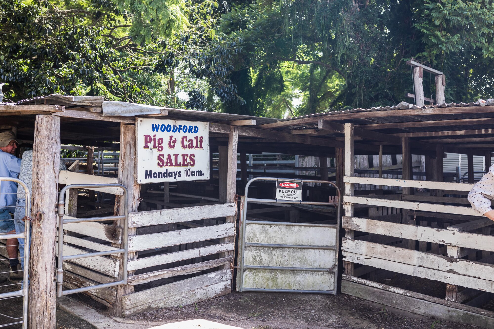 Woodford Saleyards - 129 Archer Street Woodford - Woodford Pig and Calf Sales - Mondays at 10am