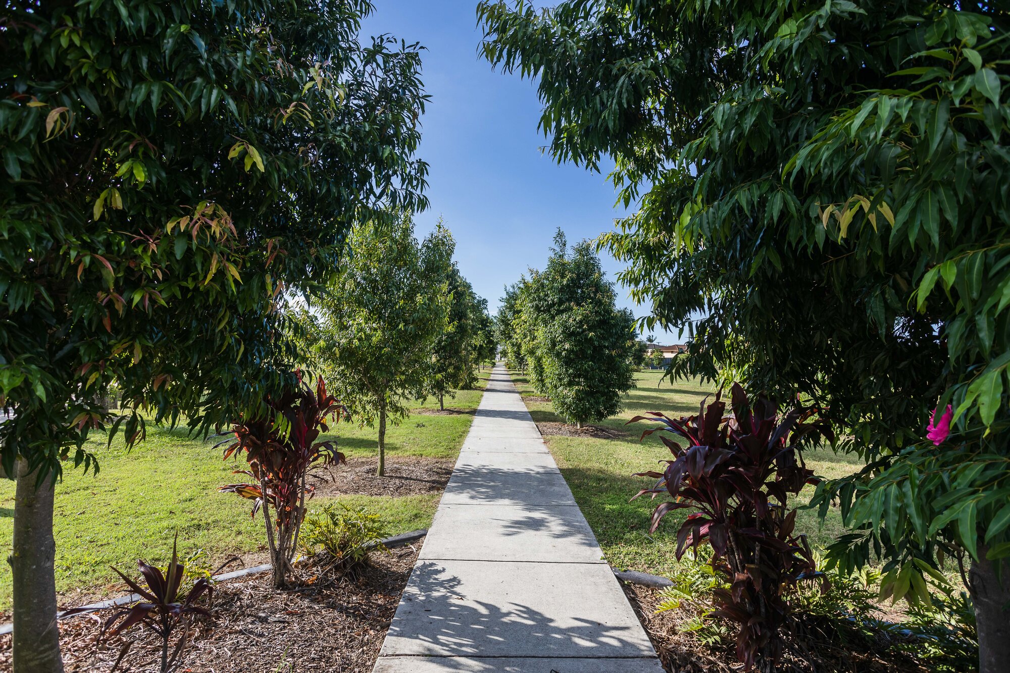 Pineapple Farm Park - corner Blatchford Street and Samsonvale Road Strathpine - footpath through park