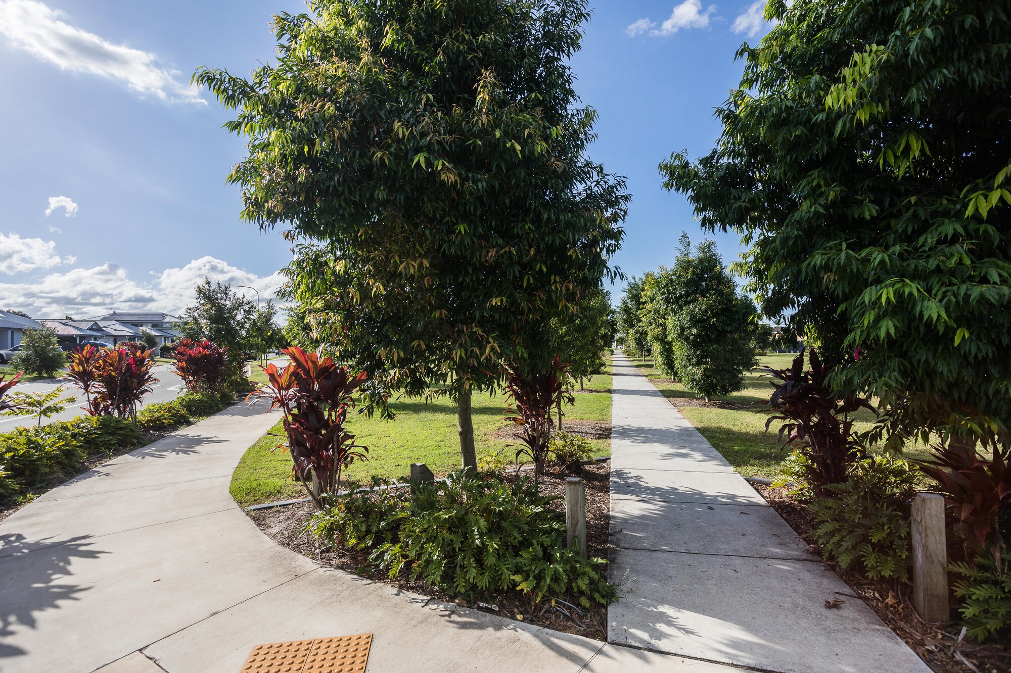Pineapple Farm Park - corner Blatchford Street and Samsonvale Road Strathpine