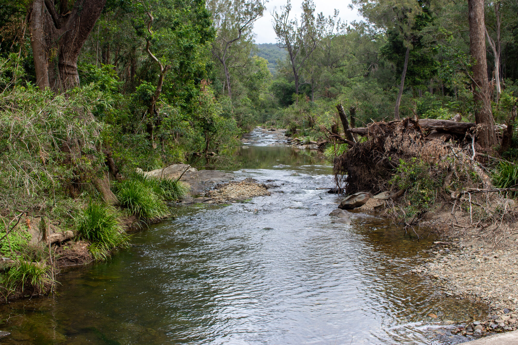 Zillmans Crossing - Old North Road Rocksberg looking southwest from the causeway over the Caboolture River