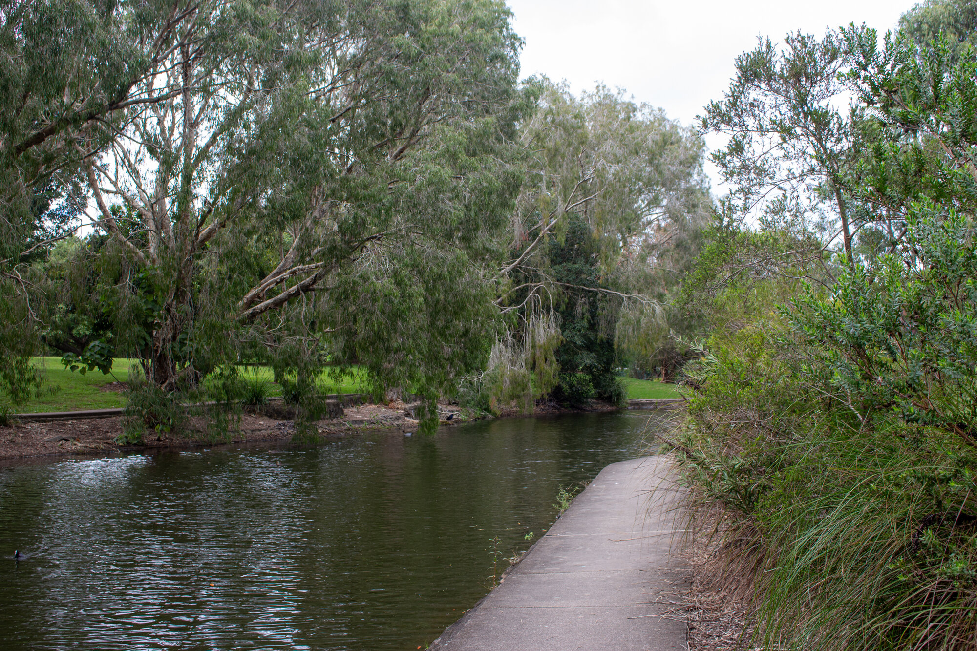 Centenary Lakes Area - 2-14 Elliott Street Caboolture - garden paths around lagoon in stage two area